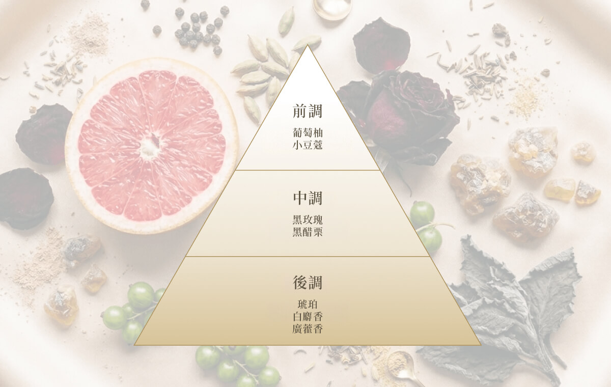 十種植物精油成分