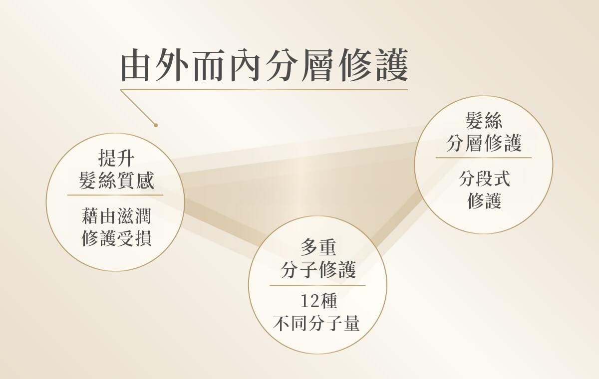 最高濃度的熱護理成分示意